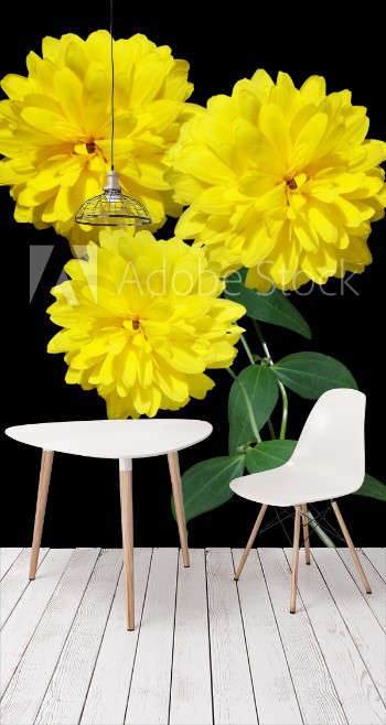 Bild på Beautiful floral background of delicate flowers rudbeckia 